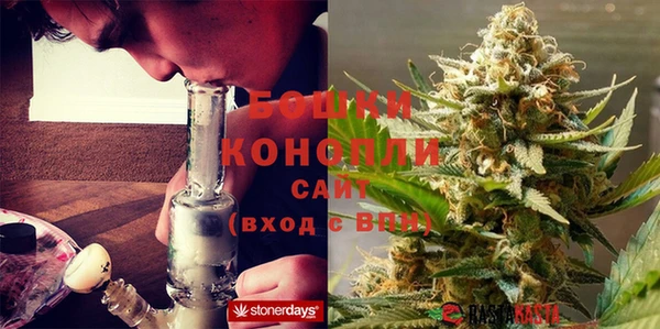 винт Няндома