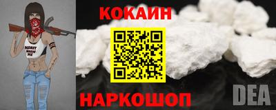 спиды Гай
