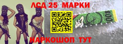 спиды Гай