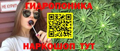 спиды Гай