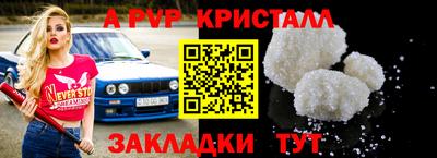 спиды Гай