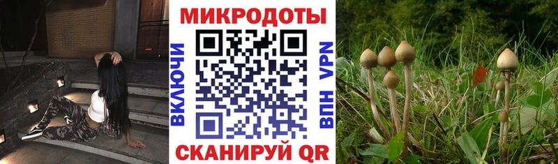 Галлюциногенные грибы MAGIC MUSHROOMS  Ишимбай 