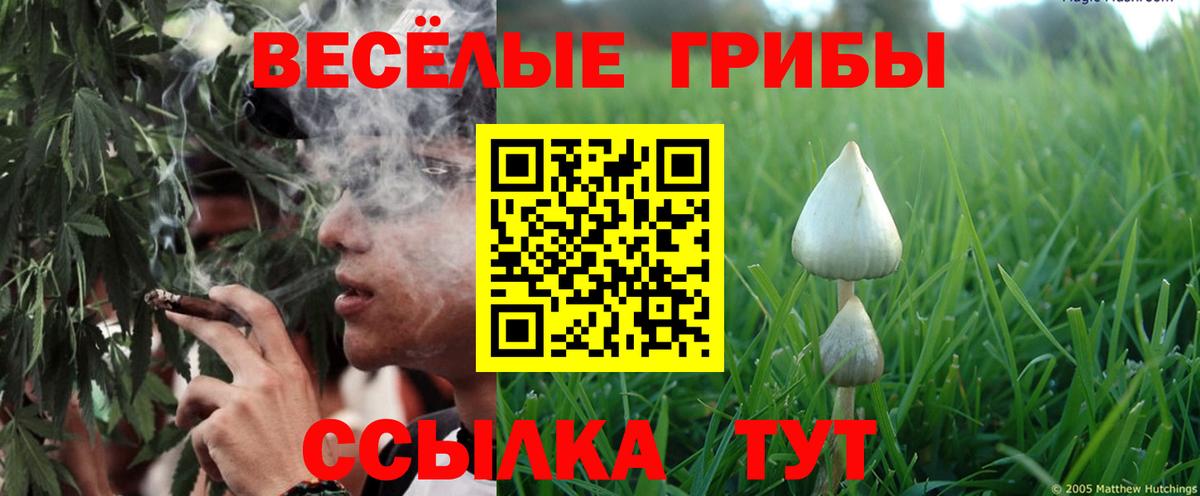 Галлюциногенные грибы прущие грибы Ишимбай